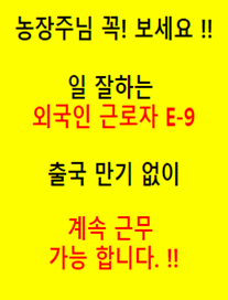 비자코리아 배너