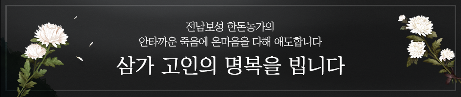 대한한돈협회 추모공지 - 전남보성 한돈농가의 안타까운 죽음에 온마음을 다해 애도합니다 삼가 고인의 명복을 빕니다.