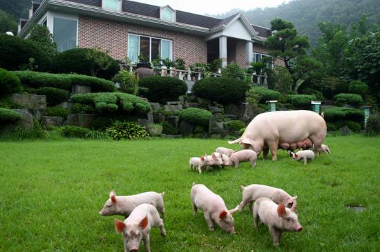 특선 조봉희 여름휴가 