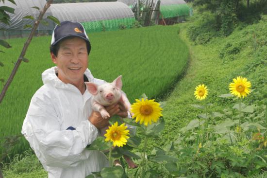 특선 신효순 우리돼지 한돈 