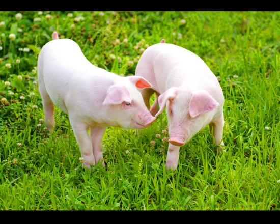 대상 신은경 한이돈이 