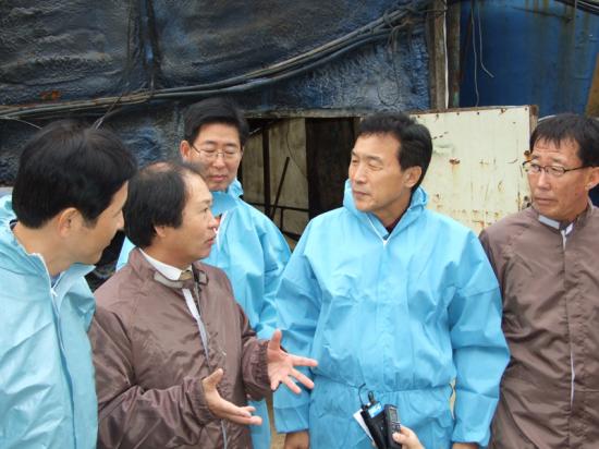 손학규 대표 양돈농가 방문