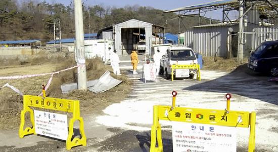 7개월 만에 구제역 발생…경북 안동 돼지농가 비상 