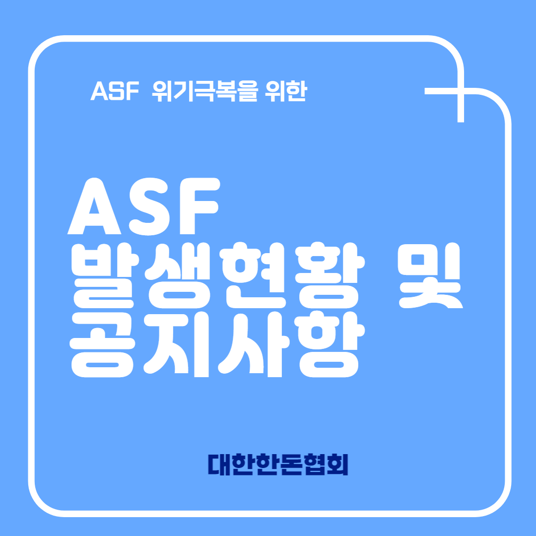ASF 공지사항