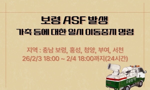[긴급] 보령 ASF 발생에 따른 일시 이동중지 명령 2.4 18시까지 (24시간)
