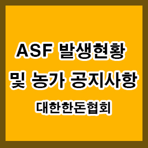 화천발 ASF 발생현황 및 농가 공지사항 대한한돈협회