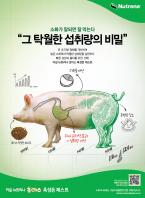 Nutrena 소화가 잘되면 잘 먹는다 그 탁월한 섭취량의 비밀 위 내 지방 정체를 개선하여 높은 소화력과 탁월한 섭취량을 실현하다 빠른 성장과 출하를 위한 선택! 카길 뉴트리나 초이스 육성돈 제스트 체중증가 섭취량증가 지육률개선 분변량감소 위내 순차적 통과 = 섭취량 개선 카길 뉴트리나 초이스 육성돈제스트 카길뉴트리나 초이스 비뉵돈 프로그램을 지금 확인하세요! 뉴트리나 사료는 카길의 동물영양 전문 브랜드입니다. www.nutrenafeed.co.kr