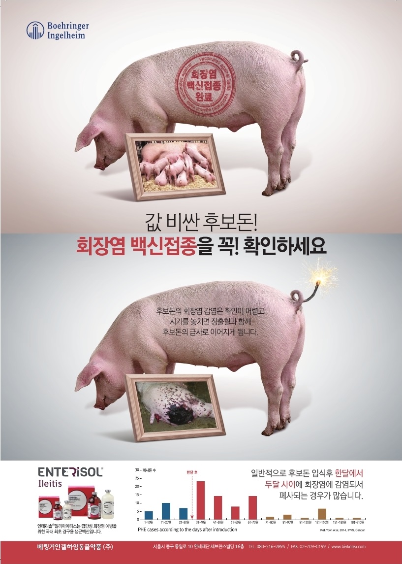 당신의 돼지를 키우고 지키는 돈플래너(qr코드)