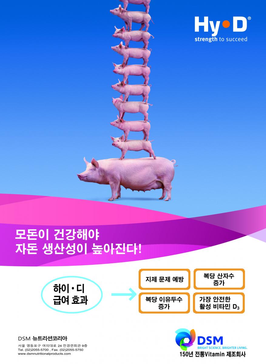 하이디