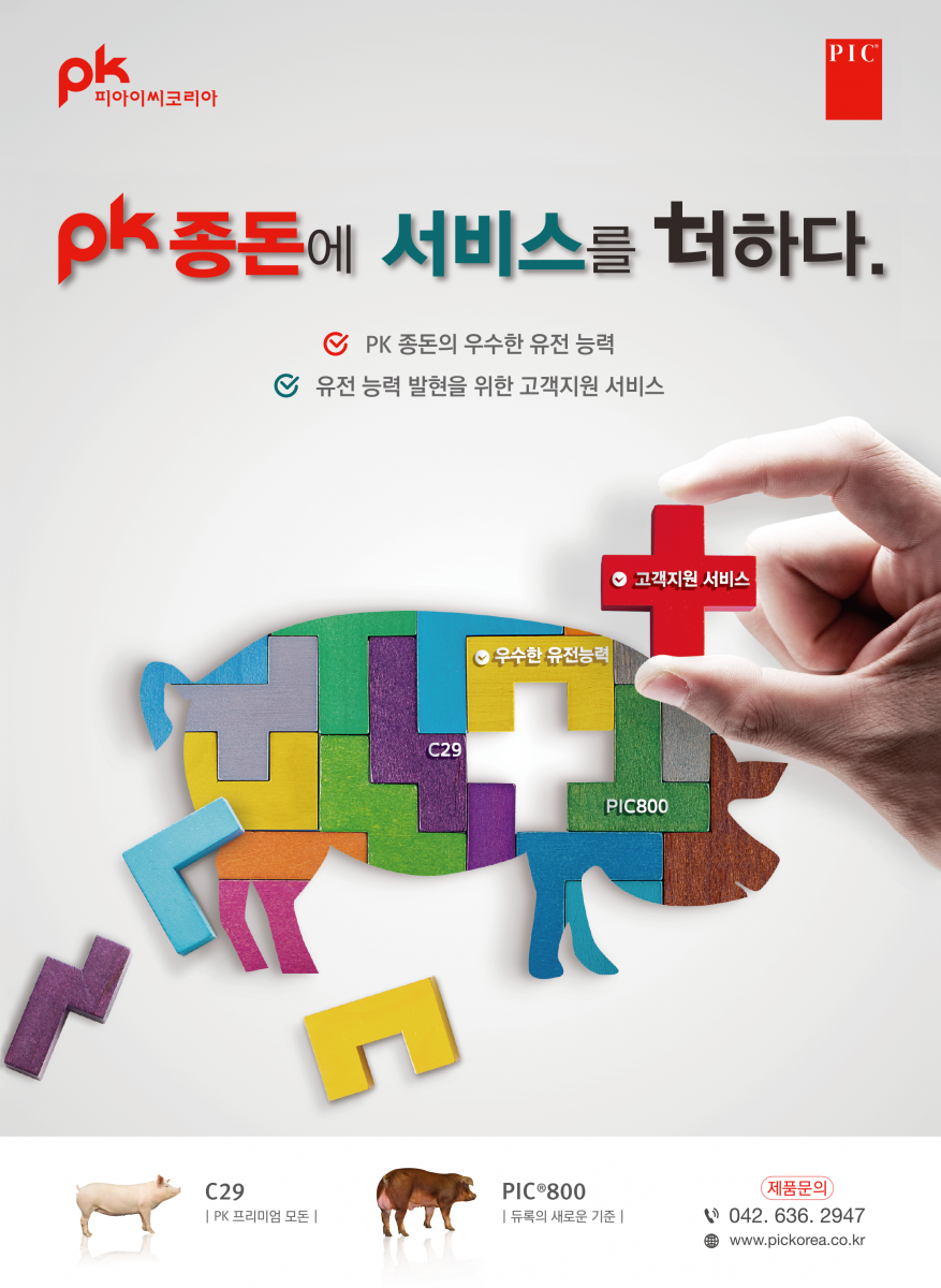 PK종돈-C29, PIC800