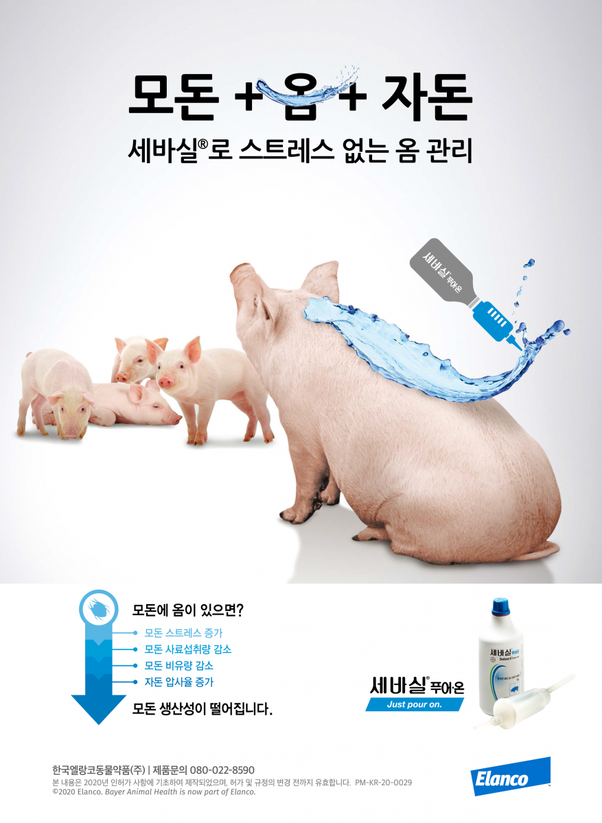 paylean 자연 원료에서 추출한 락토파민 인산염 호르몬이 아닙니다. 비육말기 투여로 수익을 극대화하는 효과적인 성장보조제, CODEX의 잔류기준 국제적 관리로 입증된 안정성, 26개국 사용허가 페이린 사용 돈육은 100여개 나라에서 수입, 돼지에게 안전하고 사람에게도 안전한 먹거리 제공, 페이린 비육말기 투여로 정육율 향상, 수익의 극대화 돼지와 인체에 안전한 성장보조제 - 페이린, 한국엘랑코동물약품(주) 서울시 송파구 석촌호수로 274 CM빌딩 3층 T.080-570-0880