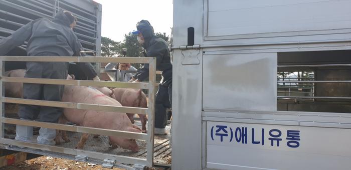 (1124)재입식을 위한 후보돈 환적 장면(제1검정소)