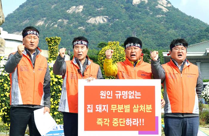 10/14 ASF 연천 전체 살처분 반대 1인시위