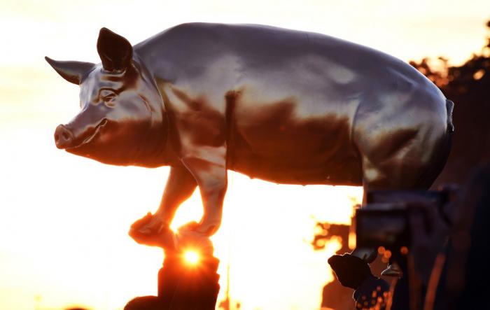 황금돼지해 정동진 해맞이 행사